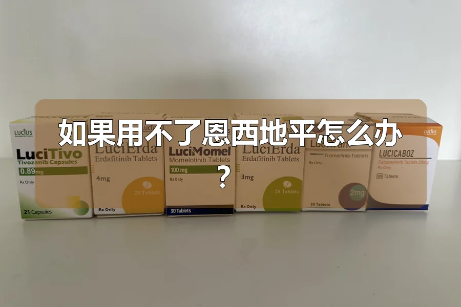 如果用不了恩西地平怎么办?